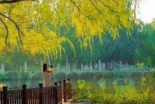 破解版抢庄牛牛-破解版抢庄牛牛，游戏世界的灰色地带与道德边界